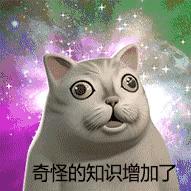 DƬ